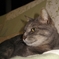 photo_8356