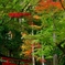 泉湧寺