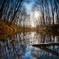 A Reflection