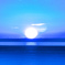 太陽と水平線