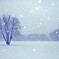 雪景色