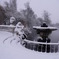 Frozen Maiden