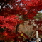 宝満宮 竈門神社