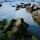 佐島の海(1)