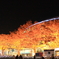 紅葉のドーム