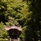 鎌倉八幡様の中