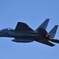 平成30年 岐阜基地航空祭 イーグル 03