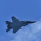 平成30年 岐阜基地航空祭 イーグル 10
