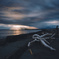 seascape