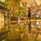 reflection