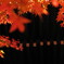 紅葉フレーム