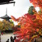 紅葉と塔