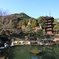 rurikouji
