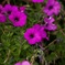 653CB74E-62E0-46BD-9912-56C9BFEBA3FA