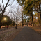 日暮れの公園