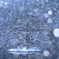 雪幻-winter dust-