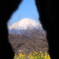 うろの向こうの世界
