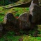 京都の苔の寺