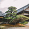鹿苑寺