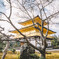 鹿苑寺