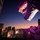 お人好しの...GODZILLA
