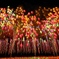 赤川花火大会2018年の2