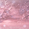 雪桜ファンタジー