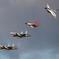 岐阜基地航空祭2018予行編　おしまい