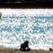 逗子海岸にて