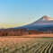 おはよう富士山