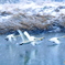 SNOW　SWAN