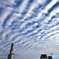 朝の雲