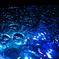 金魚水槽を上から…