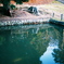 公園にて