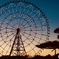 葛西臨海公園 ダイヤと花の大観覧車