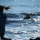paddling