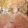 もみじ回廊