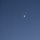 月齢5.1