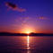 琵琶湖。日の出