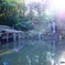 兼六園