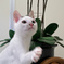 B2-DSC01428