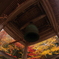beautiful shiga
