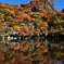 H221017大船山 (3)