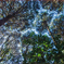 PSX_20190113_235732