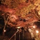 紅葉 ライトアップ