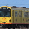 三岐鉄道「NARROWEEN TRAIN」