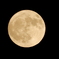 18AF13F3-5C81-4B5D-99AB-8B0EC8DE3F64