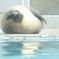 ぐったり