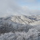 御在所岳の樹氷-03