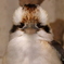天王寺動物園